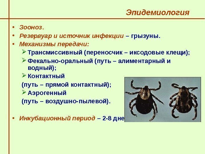  Эпидемиология  • Зооноз. • Резервуар и источник инфекции – грызуны. 