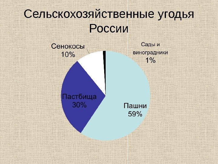 Сельскохозяйственные угодья России 