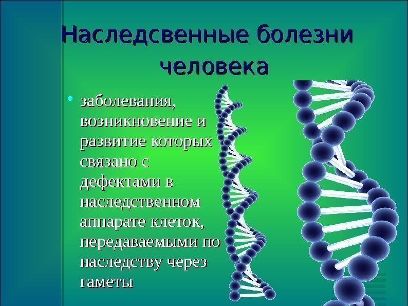 Наследсвенные болезни  человека заболевания,  возникновение и развитие которых связано с дефектами в