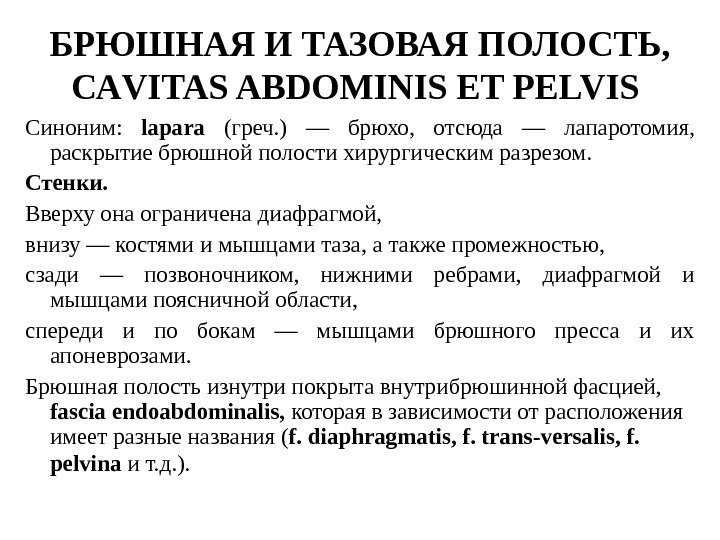 БРЮШНАЯ И ТАЗОВАЯ ПОЛОСТЬ,  САVITAS ABDOMINIS ET PELVIS  Синон и м: 