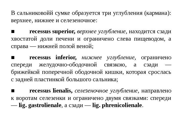 В сальниковойй сумке образуется три углубления (кармана):  верхнее, нижнее и селезеночное: ■ recessus