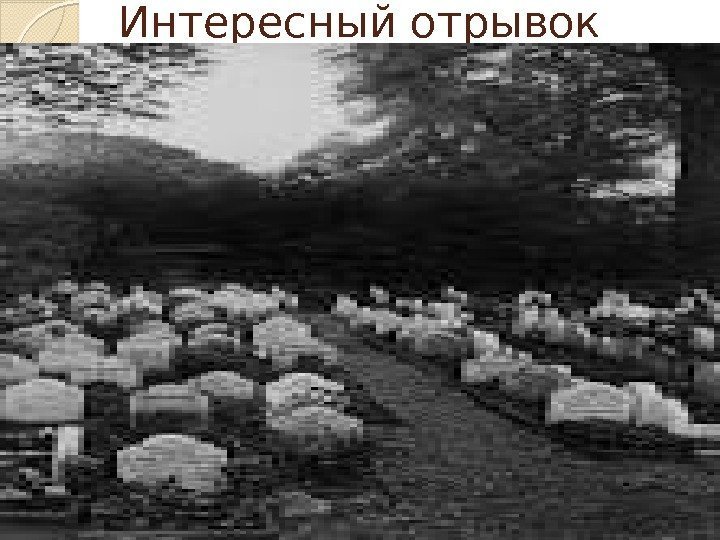 Интересный отрывок  