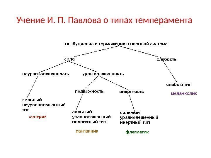 Учение И. П. Павлова о типах темперамента 