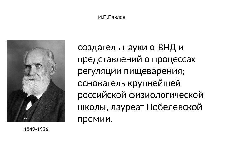 И. П. Павлов создатель науки о ВНД и представлений о процессах регуляции пищеварения; 