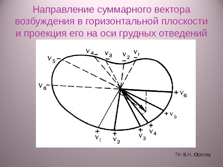 Направление суммарного вектора возбуждения в горизонтальной плоскости и проекция его на оси грудных отведений