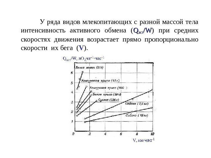     У ряда видов млекопитающих с разной массой тела интенсивность активного