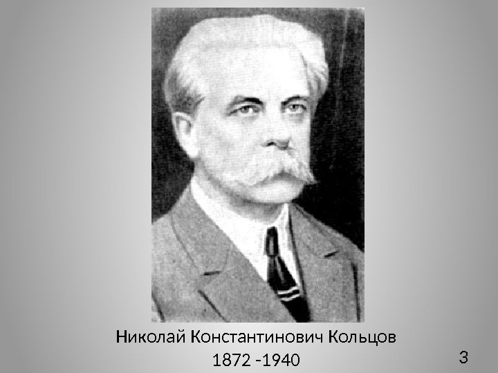 3 Николай Константинович Кольцов 1872 -1940 