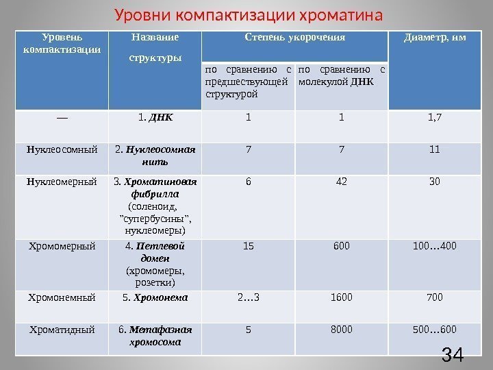 Уровни компактизации хроматина Уровень компактизации Название структуры Степень укорочения Диаметр, нм по сравнению с