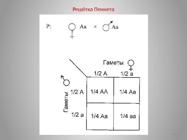 Решётка Пеннета 46 