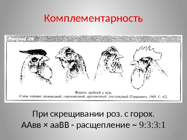 Комплементарность 68 При скрещивании роз. с горох. ААвв × аа. ВВ - расщепление ~