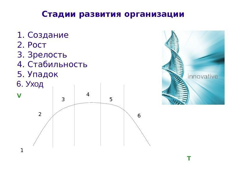 Стадии развития организации  1. Создание 2. Рост 3. Зрелость  4. Стабильность 