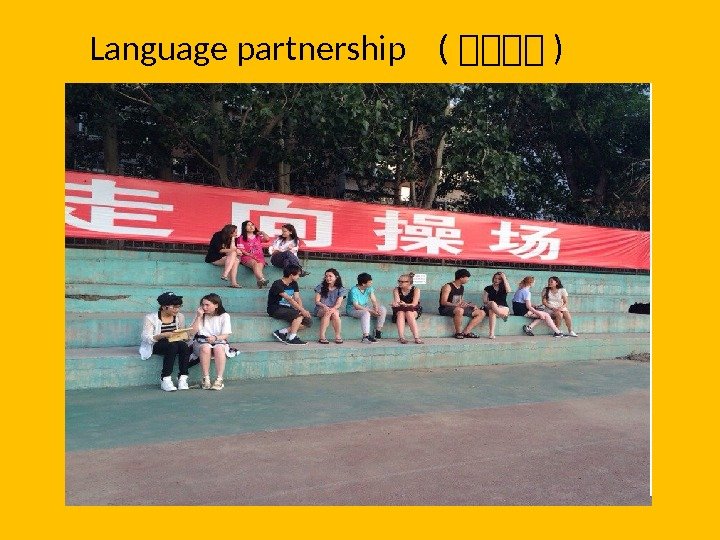 Language partnership  ( 沈沈沈沈 ) 