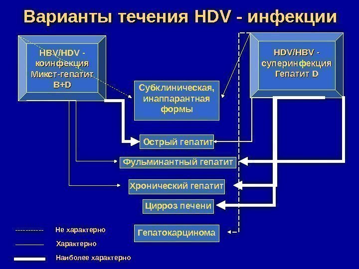   Варианты течения HDV - инфекции HBV/HDV - коинфекция Микст-гепатит B+DB+D HDV/HBV -