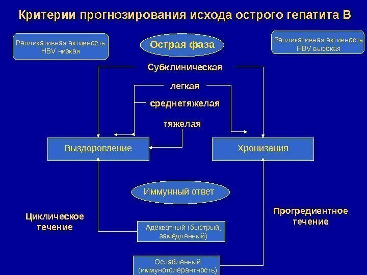   Критерии прогнозирования исхода острого гепатита В Выздоровление Хронизация. Репликативная активность  HBV