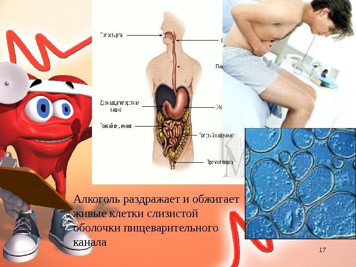       Алкоголь раздражает и обжигает живые клетки слизистой оболочки