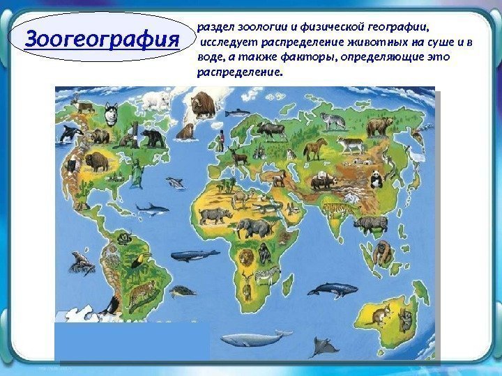 Зоогеография раздел зоологии и физической географии,  исследует распределение животных на суше и в
