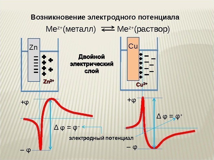 Возникновение электродного потенциала Me z+ ( металл)   Me z+ ( раствор) +
