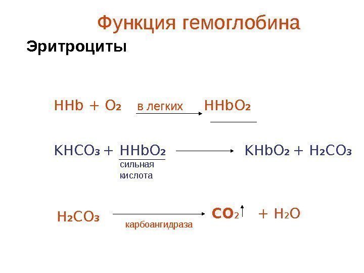   Функция гемоглобина  Эритроциты HHb. O 2 HHb + O 2 KHCO