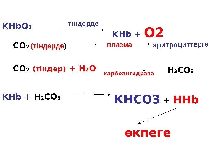 KHb. O 2 KHb + O 2 CO 2  (тіндерде ) плазма CO