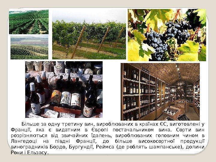 Більше за одну третину вин, вироблюваних в країнах ЄС, виготовлені у Франції,  яка