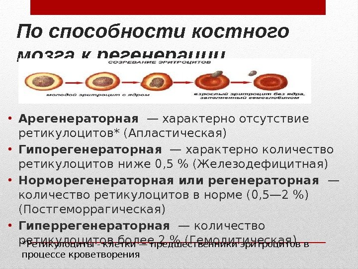 По способности костного мозга к регенерации • Арегенераторная — характерно отсутствие ретикулоцитов* (Апластическая) •