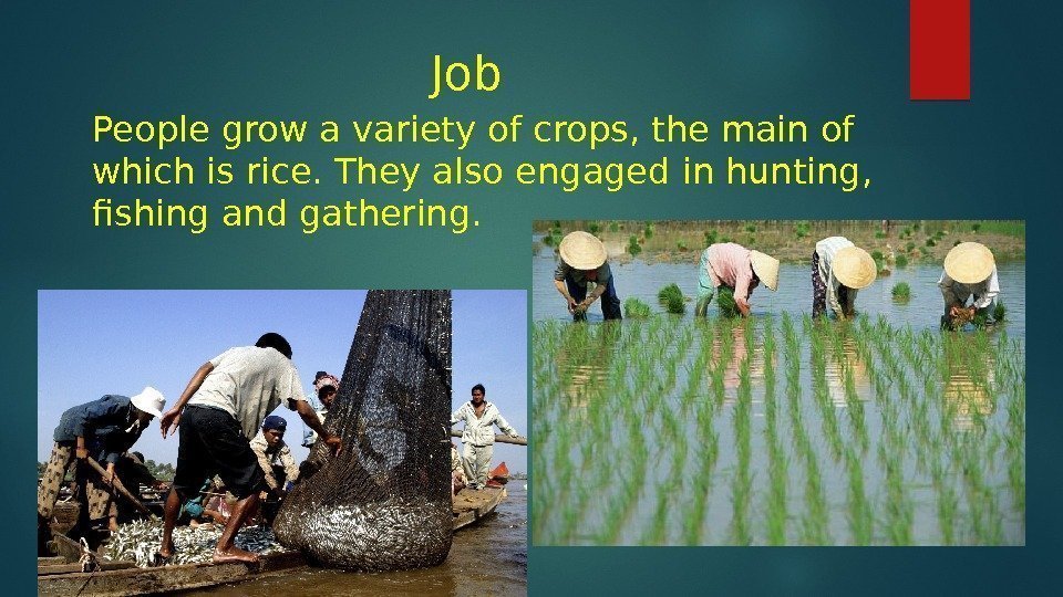 Job People grow a variety of crops, the main of which is rice. They