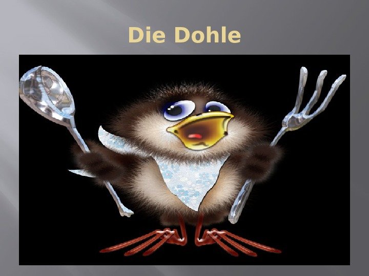 Die Dohle 