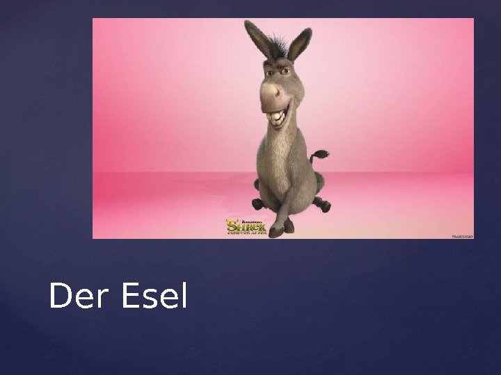 Der Esel 