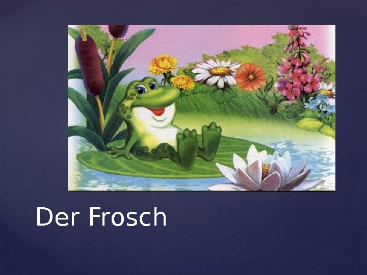 Der Frosch 