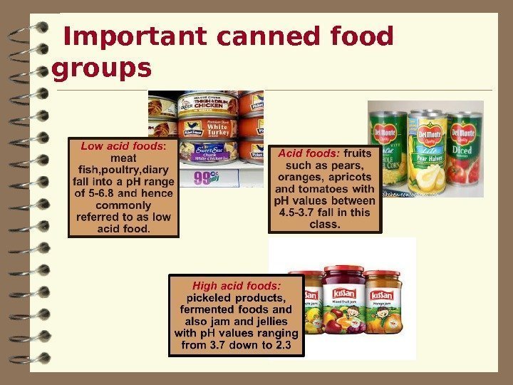  Important canned food groups 