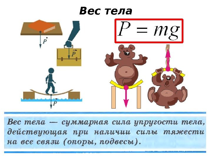 Вес тела 