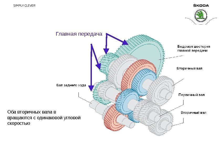 Главная передача Оба вторичных вала в вращаются с одинаковой угловой скоростью 