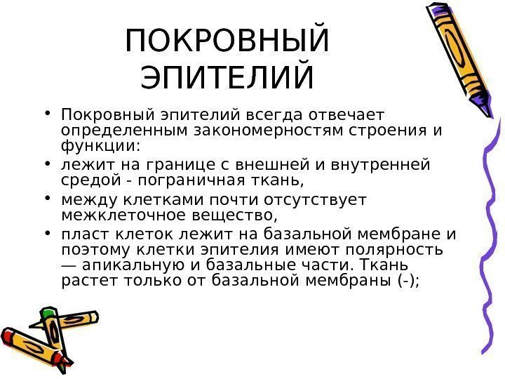 ПОКРОВНЫЙ ЭПИТЕЛИЙ • Покровный эпителий всегда отвечает определенным закономерностям строения и функции:  •