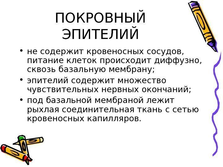 ПОКРОВНЫЙ ЭПИТЕЛИЙ • не содержит кровеносных сосудов,  питание клеток происходит диффузно,  сквозь