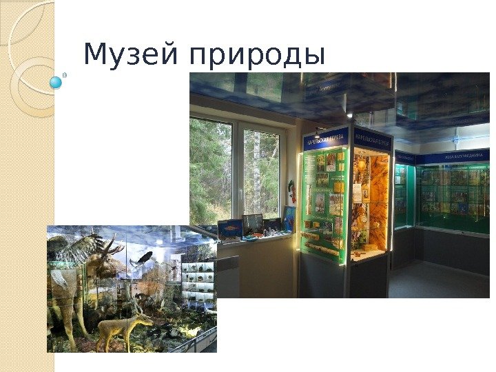 Музей природы  