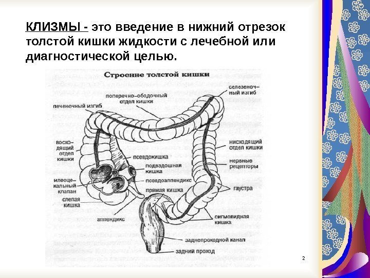 КЛИЗМЫ - это введение в нижний отрезок толстой кишки жидкости с лечебной или диагностической