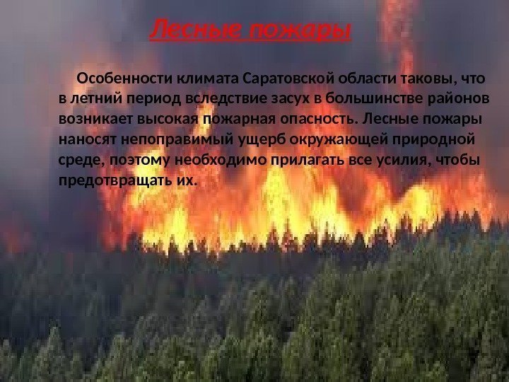 Лесные пожары  Особенности климата Саратовской области таковы, что в летний период вследствие засух