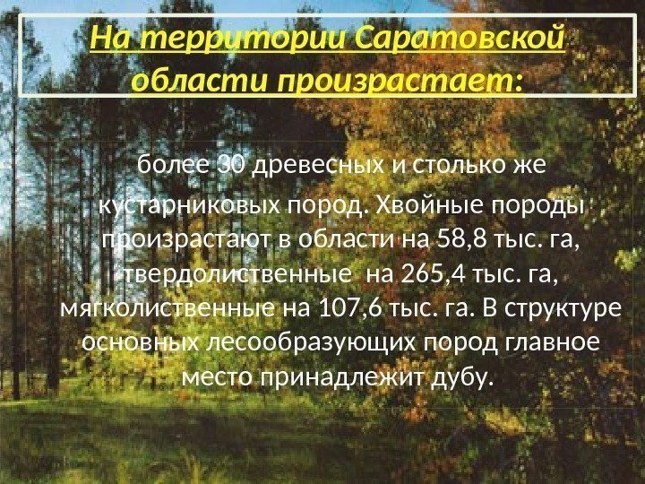 На территории Саратовской области произрастает:  более 30 древесных и столько же кустарниковых пород.