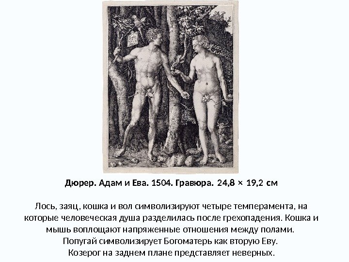 Дюрер. Адам и Ева. 1504. Гравюра. 24, 8 × 19, 2 см  Лось,