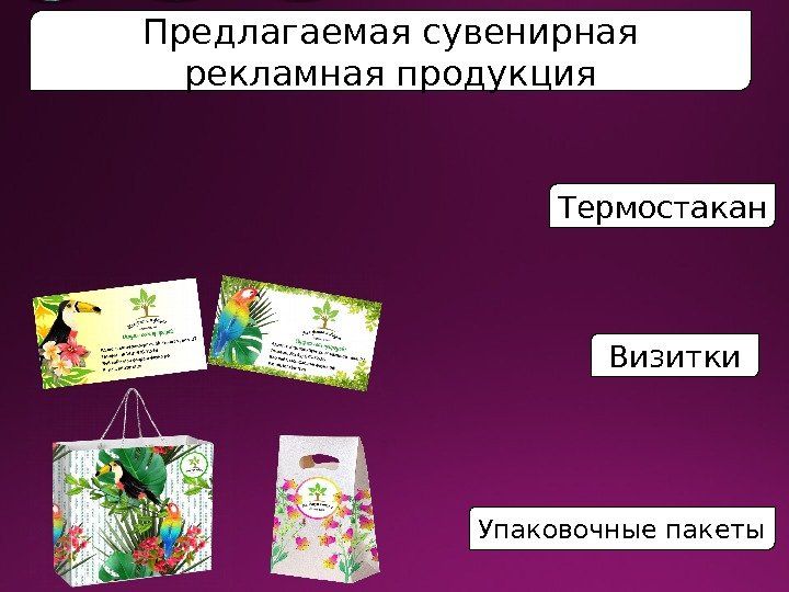 Предлагаемая сувенирная рекламная продукция Термостакан Визитки Упаковочные пакеты  