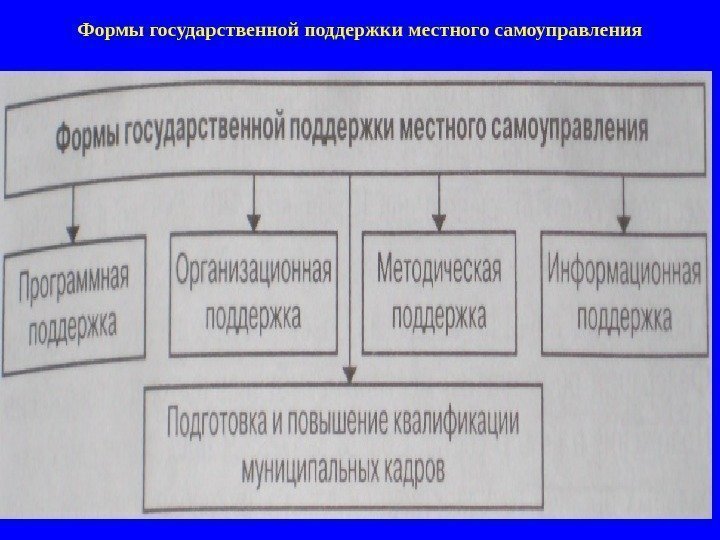 Формы государственной поддержки местного самоуправления 