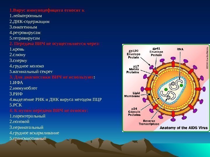 1. Вирус иммунодефицита относят к 1. лейкотропным 2. ДНК-содержащим 3. онкогенным 4. ретровирусам 5.