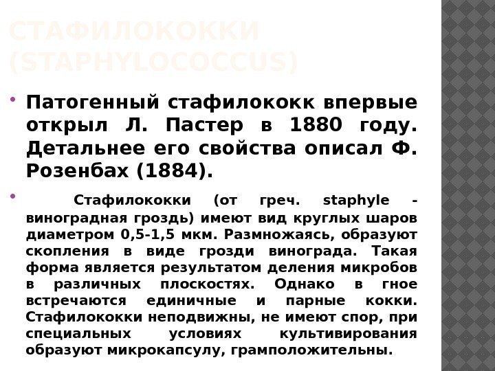 СТАФИЛОКОККИ (STAPHYLOCOCCUS)  Патогенный стафилококк впервые открыл Л.  Пастер в 1880 году. 