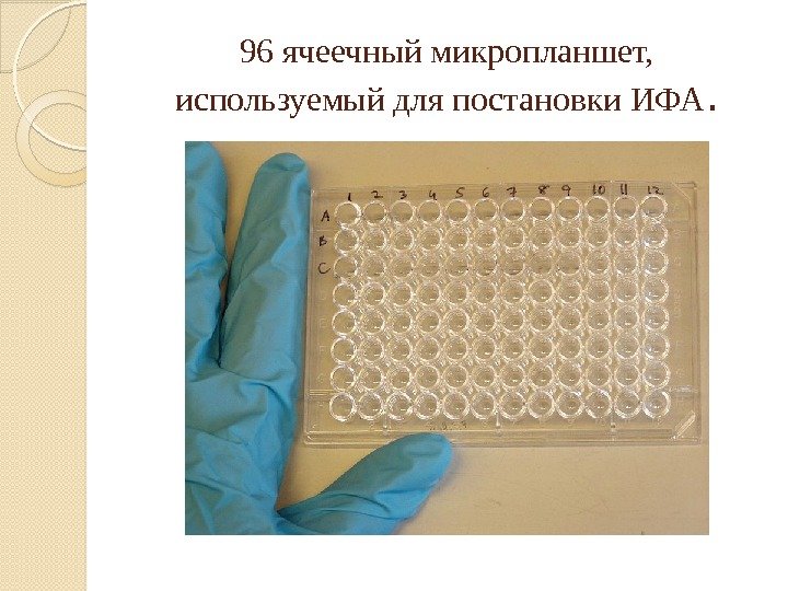 96 ячеечный микропланшет,  используемый для постановки ИФА.  