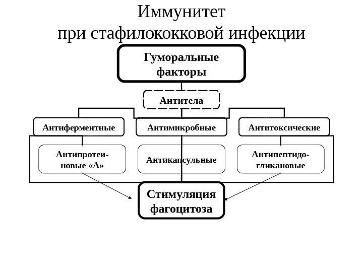 Иммунитет при стафилококковой инфекции Гуморальные факторы Антитела Антиферментные Антимикробные Антитоксические Антипротеи- новые «А» Антикапсульные