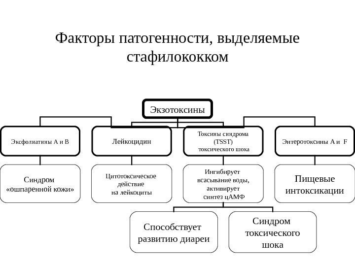 Факторы патогенности, выделяемые стафилококком Экзотоксины Эксфолиатины А и В Лейкоцидин Токсины синдрома ( TSST
