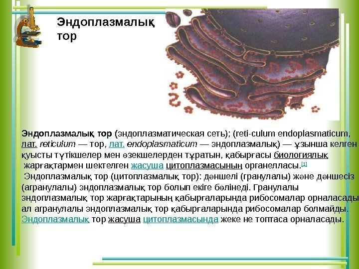 Эндоплазмалы тор (қ эндоплазматическая сеть); (reti-culum endoplasmaticum,  лат.  reticulum — тор, 