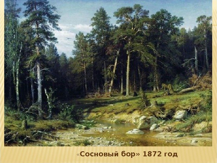     « Сосновый бор» 1872 год 