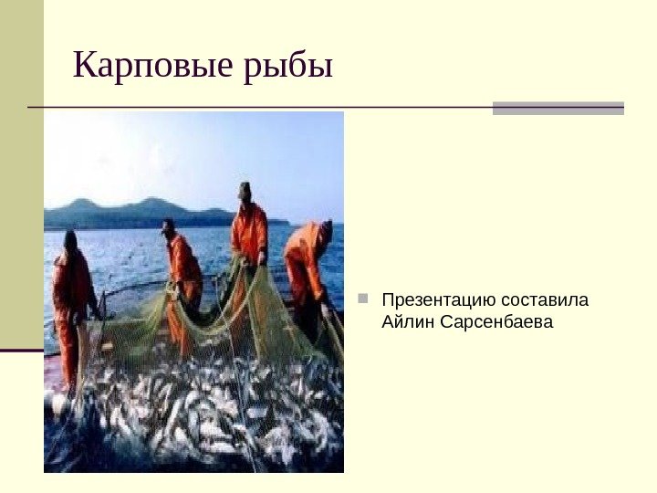 Карповые рыбы Презентацию составила Айлин Сарсенбаева 