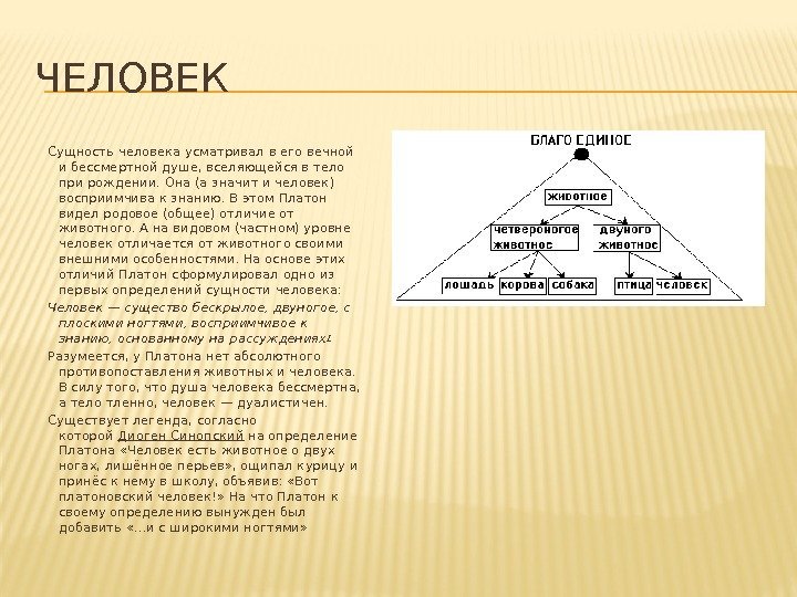 ЧЕЛОВЕК Сущность человека усматривал в его вечной и бессмертной душе, вселяющейся в тело при